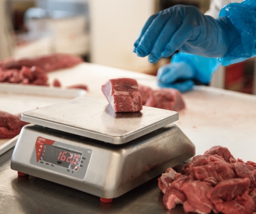 Atelier Viande Askel (3)